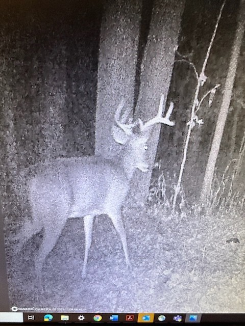 1 Poplar Ridge Road Chapmansboro, TN 37035 - Photo 10 of 11 a picture of a outdoor space