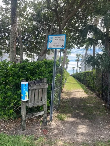 a view of a yard with an tree