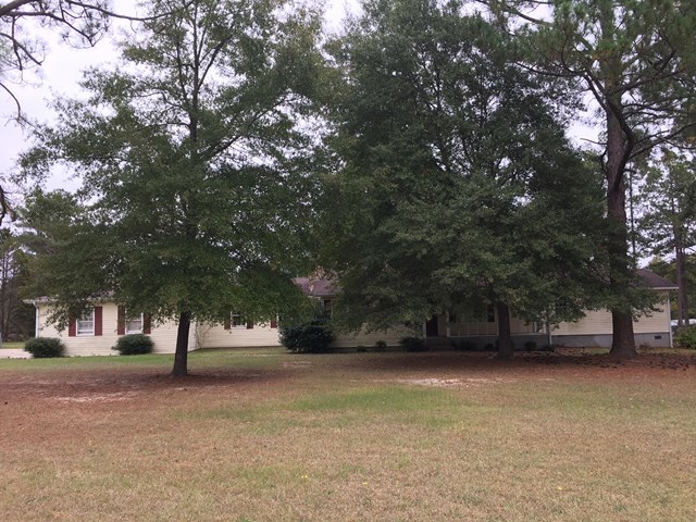 a view of outdoor space with garden