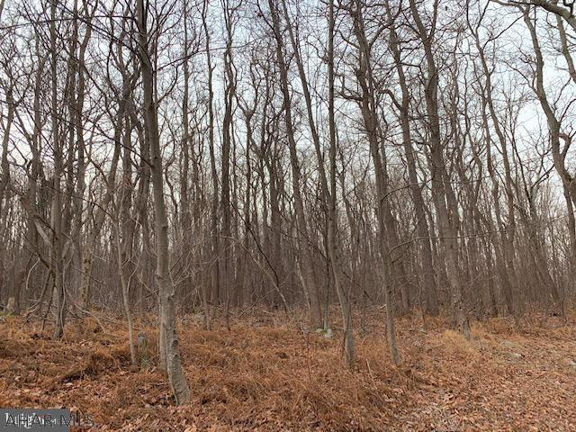 0 Childers Ridge Road Hopewell, PA 16650 - Photo 2 of 70 Gallery Image 2
