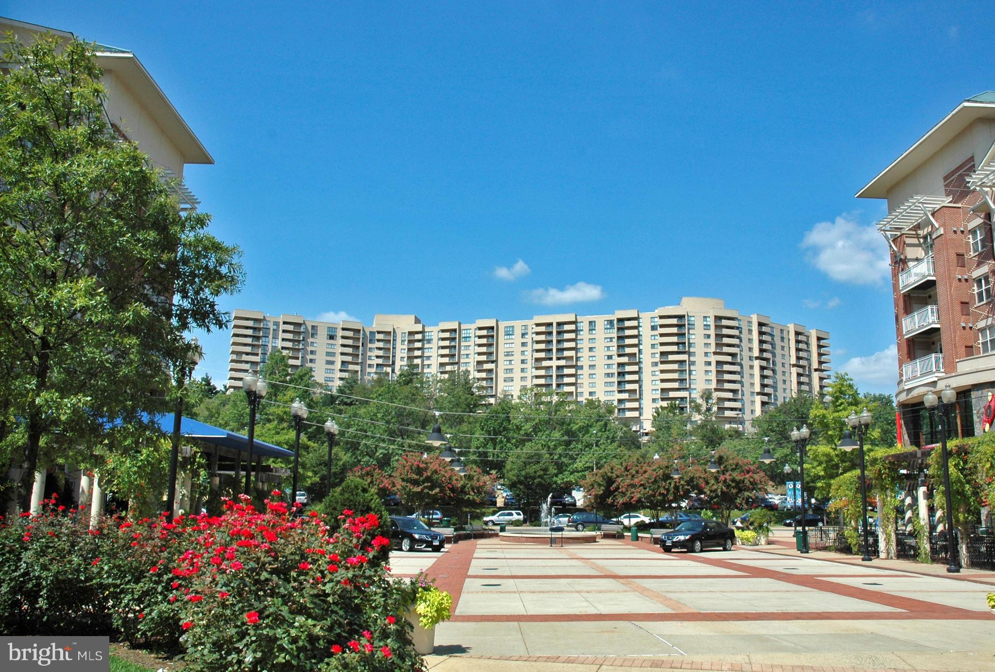 1101 South Arlington Ridge Road, Unit 703 Arlington, VA 22202 - Photo 1 of 30 Exterior (General)