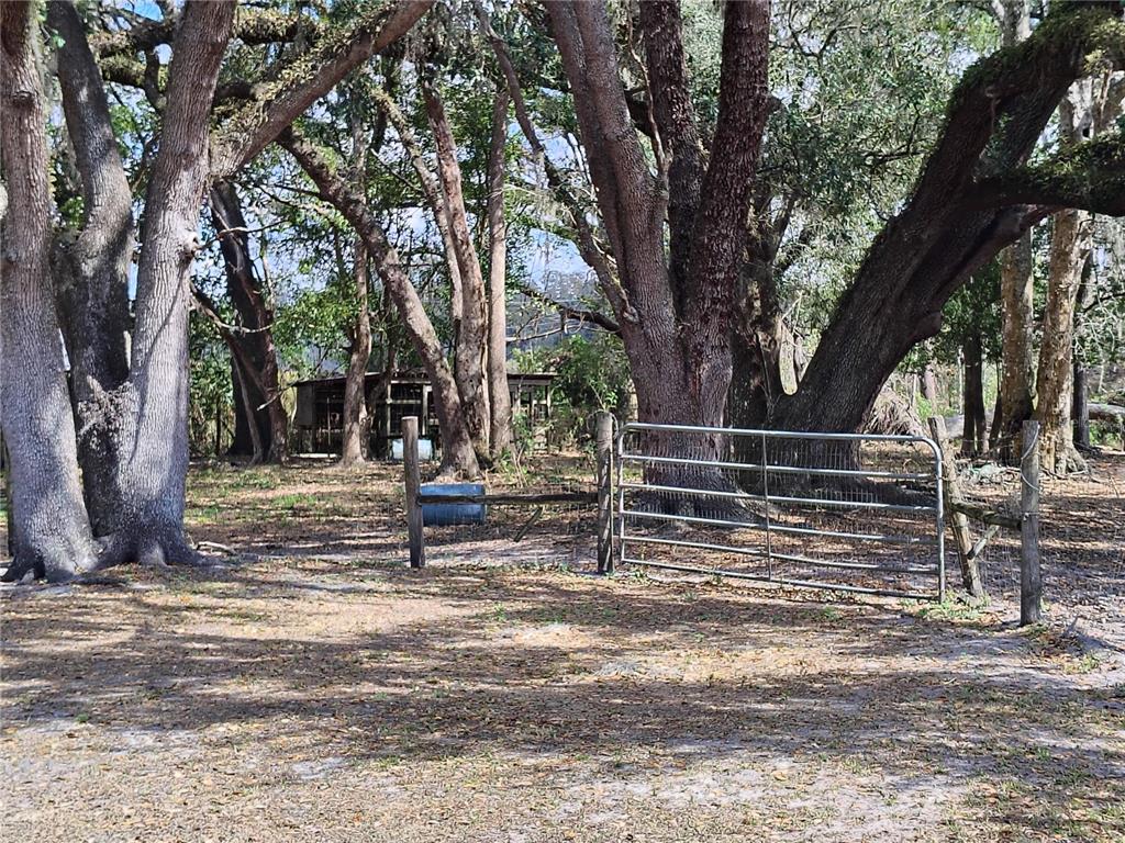 14240 State Rte 471 Webster, FL 33597 - Photo 23 of 53