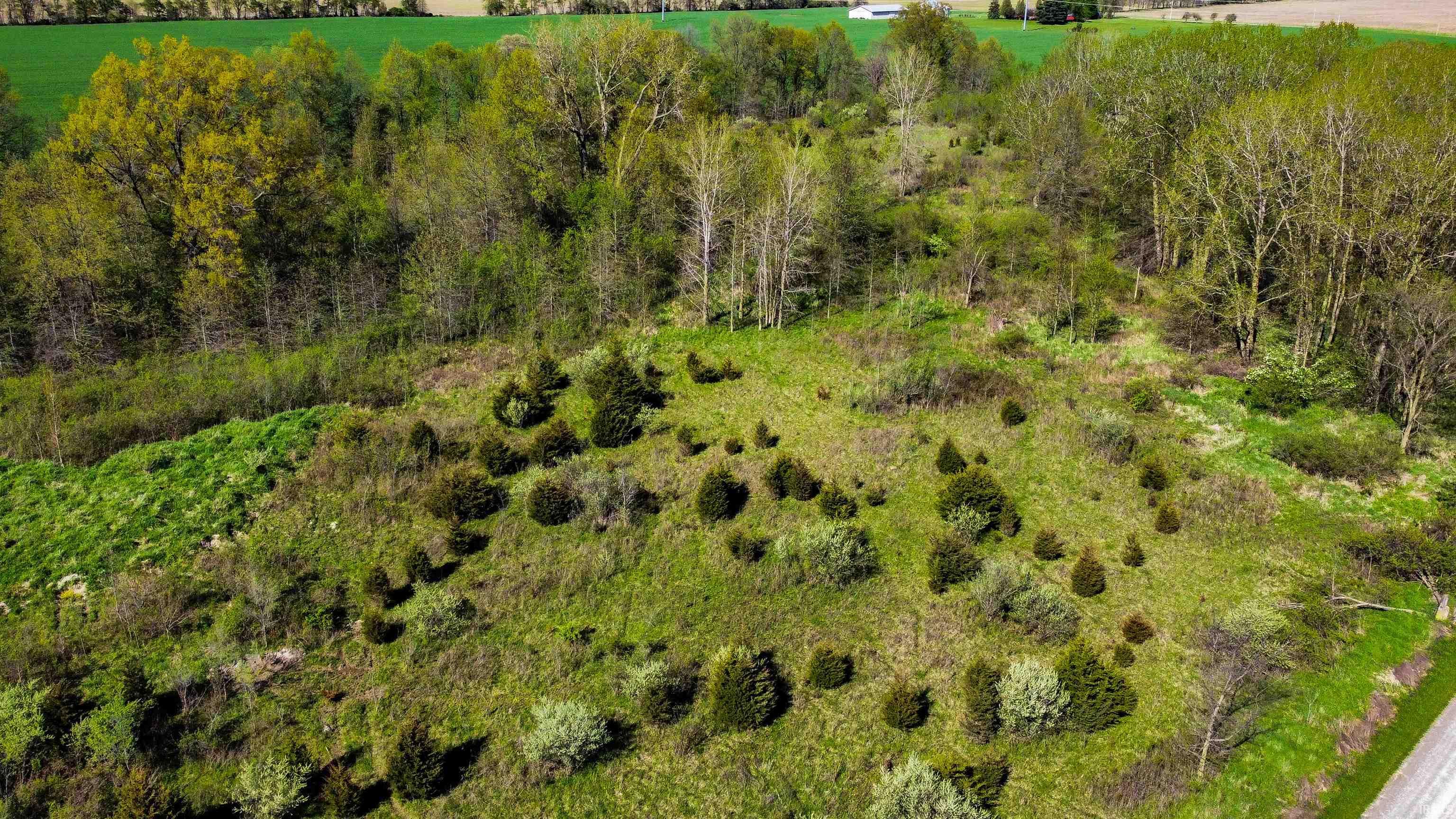 0 County Road 44 Butler, IN 46721 - Photo 10 of 10
