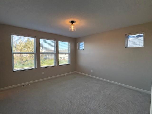 11269 Brookview Road Woodbury, MN 55129 - Photo 11 of 20