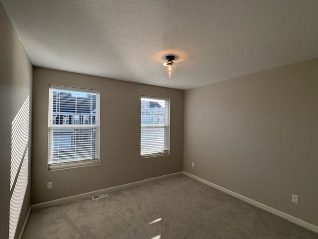 11269 Brookview Road Woodbury, MN 55129 - Photo 17 of 20