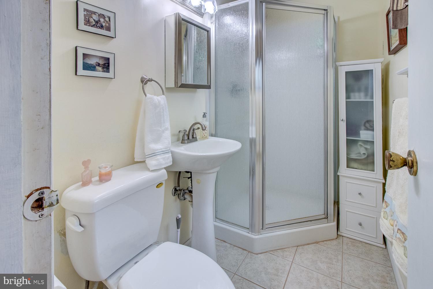 3 Robinson Road Allentown, NJ 08501 - Photo 31 of 47 Lower Level Bath Room