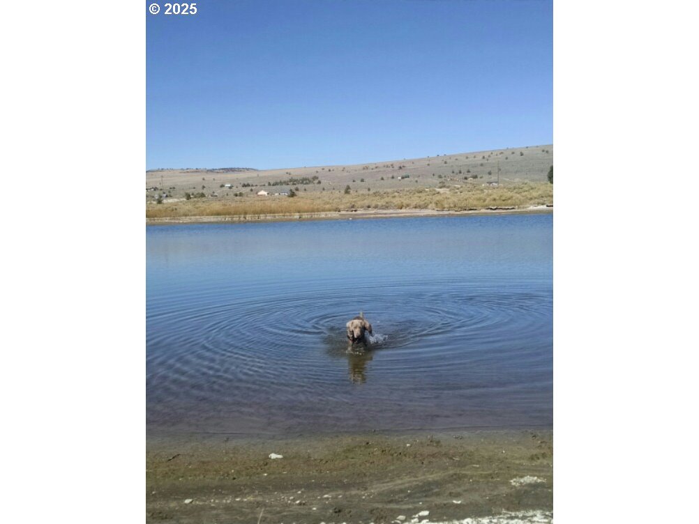 49927 Shuffield Road Summer Lake, OR 97640 - Photo 13 of 16 a view of door