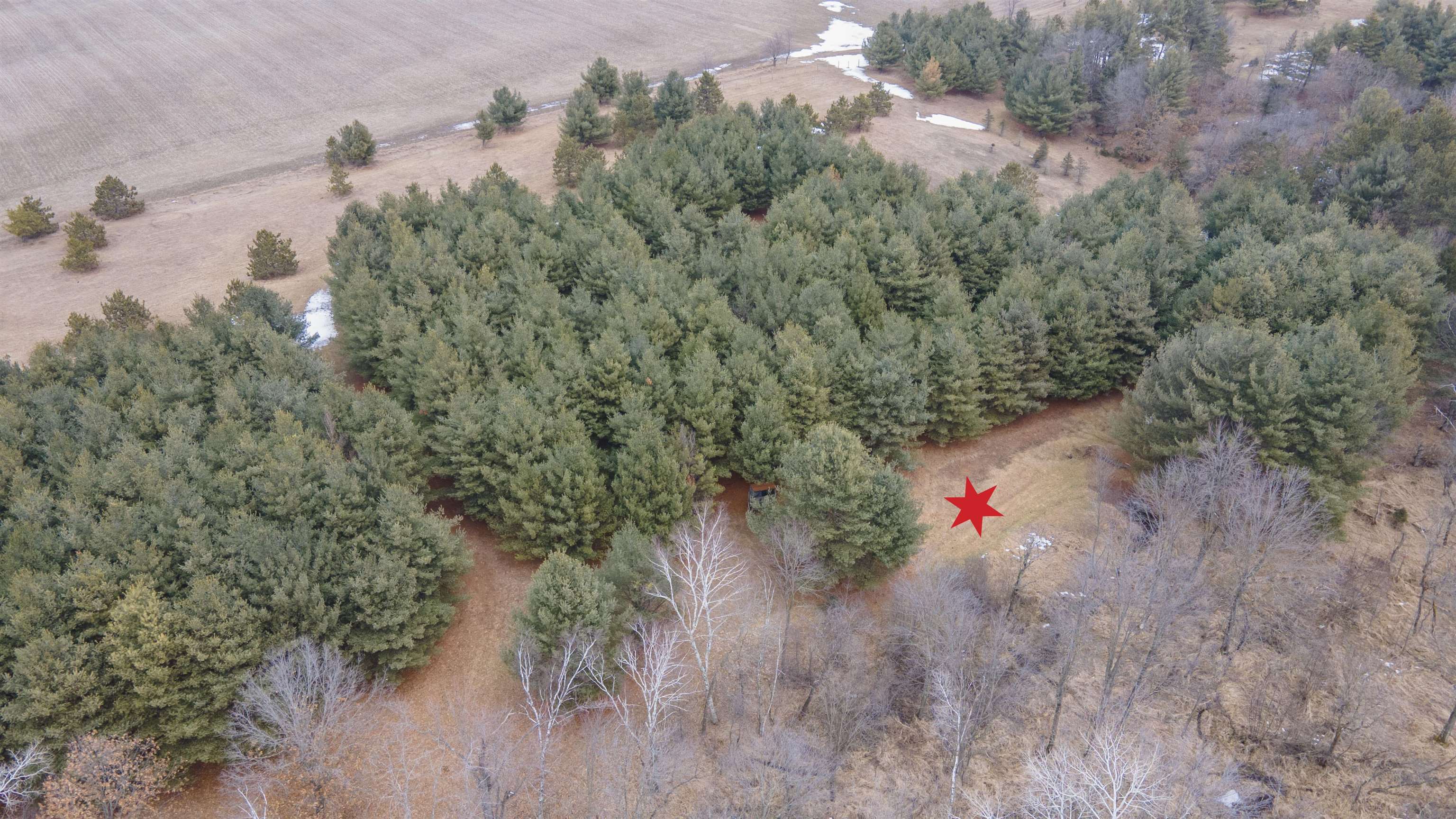 8716 Fountain Grove Road Amherst, WI 54406 - Photo 44 of 64