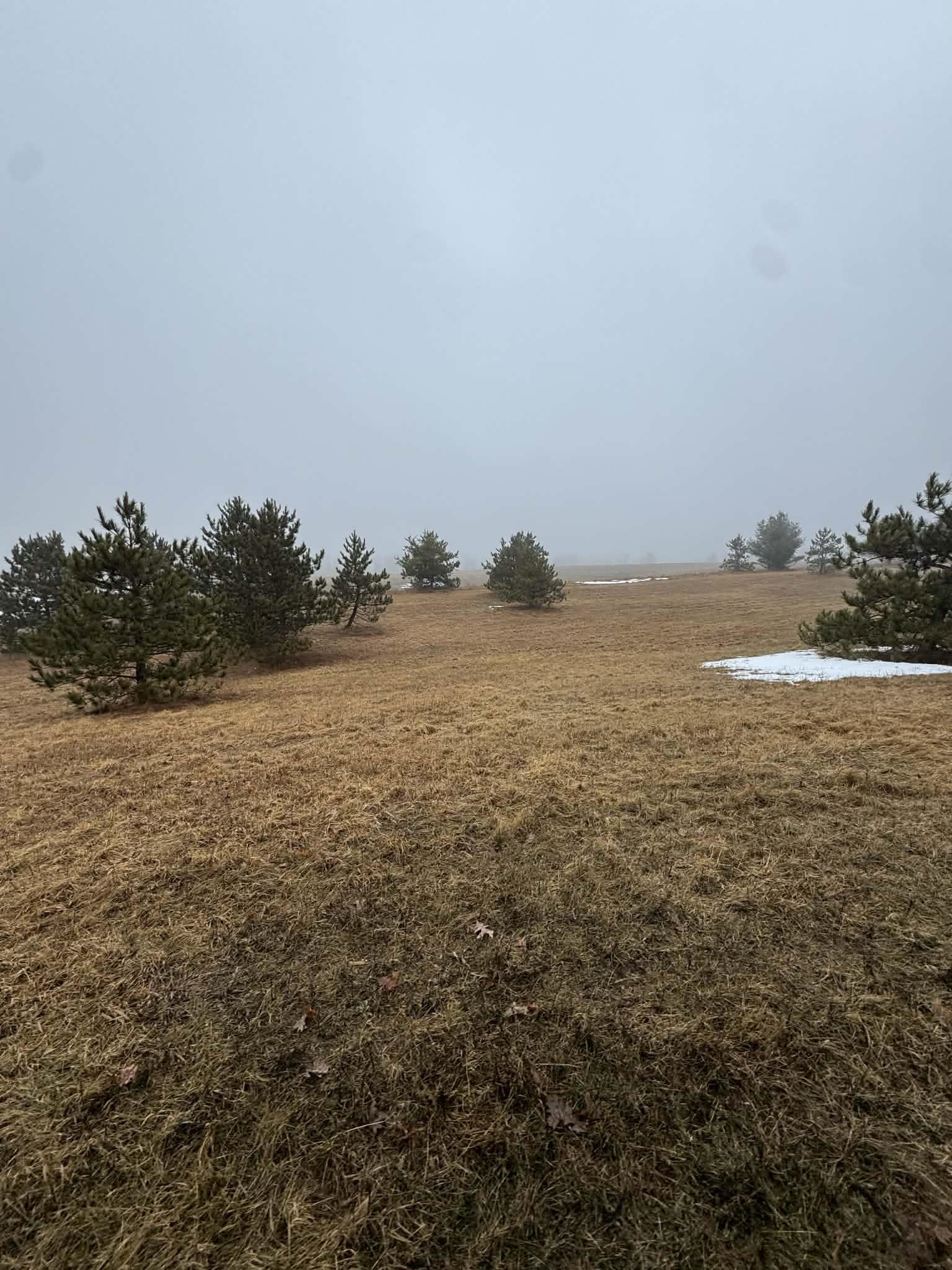 8716 Fountain Grove Road Amherst, WI 54406 - Photo 59 of 64