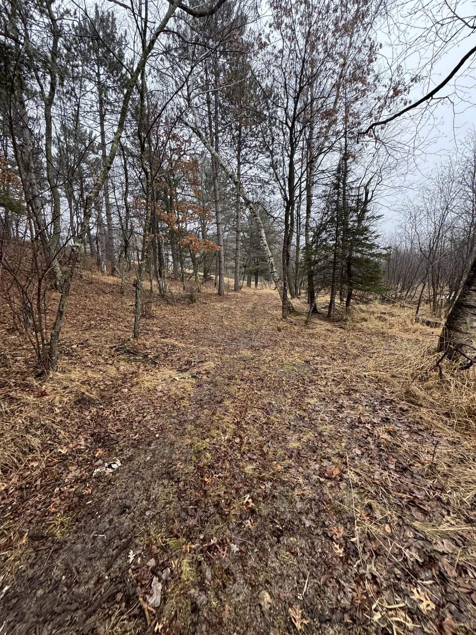 8716 Fountain Grove Road Amherst, WI 54406 - Photo 62 of 64