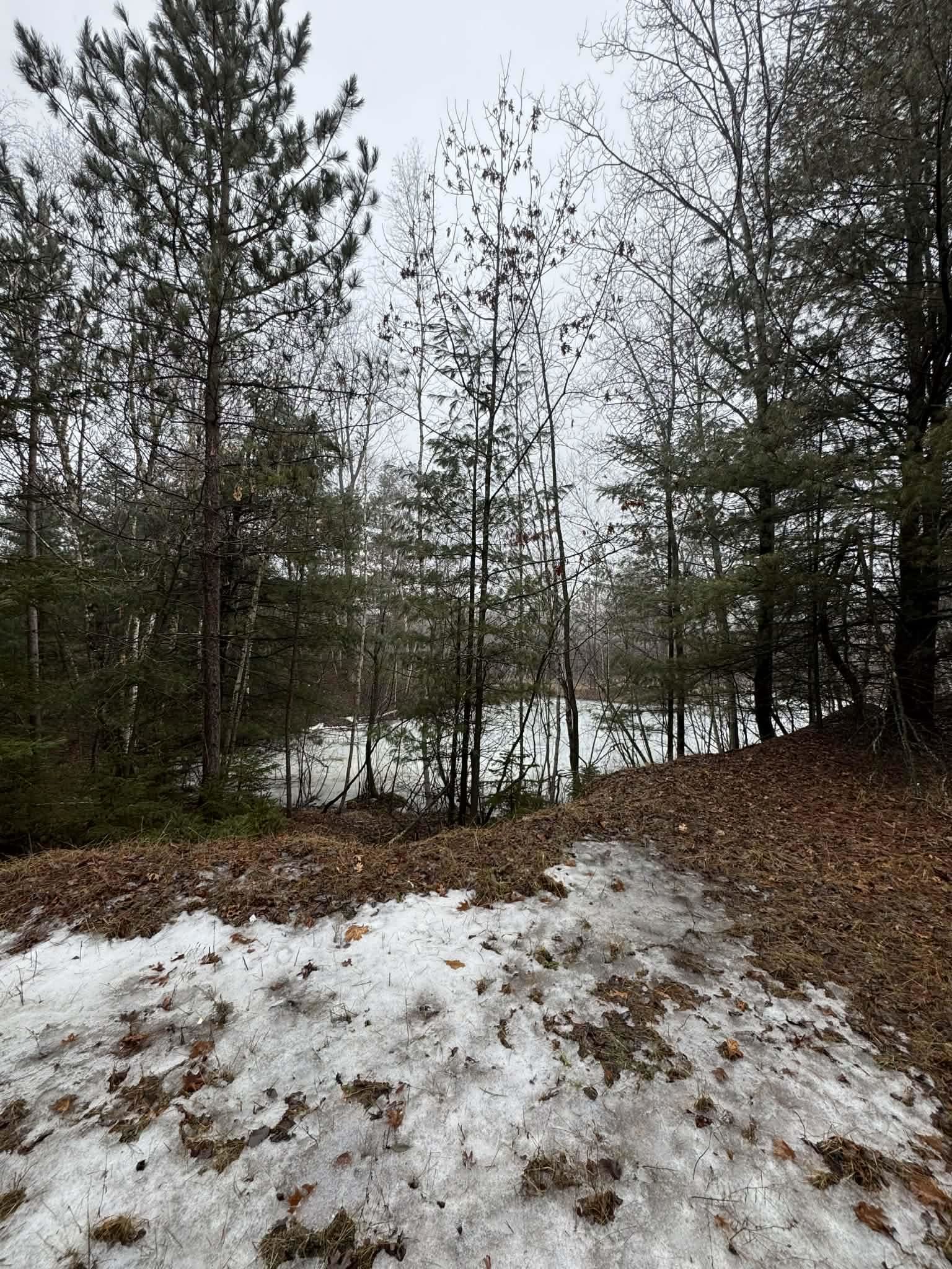 8716 Fountain Grove Road Amherst, WI 54406 - Photo 63 of 64