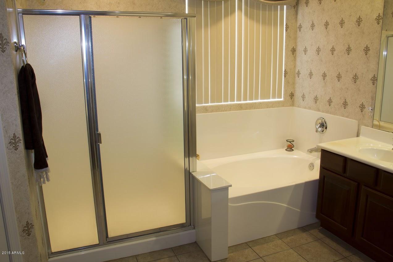 2123 North Pacey Road Phoenix, AZ 85037 - Photo 19 of 38 Master bathroom 2