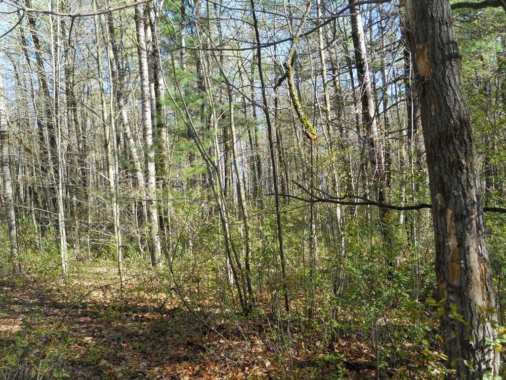 957 Hinckley Road Clinton, ME 04927 - Photo 12 of 15 Photo