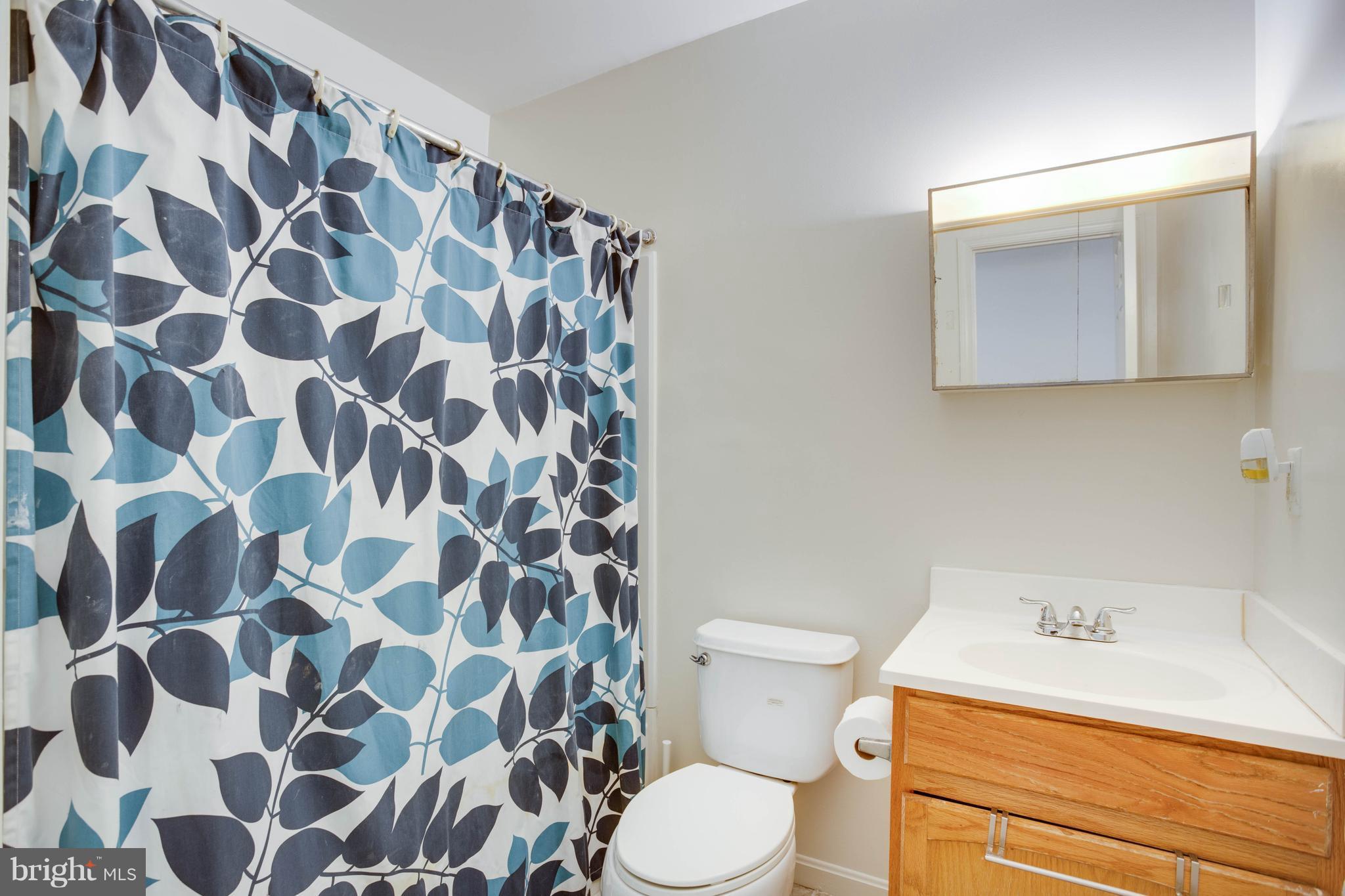 6706 Middlefield Road Fort Washington, MD 20744 - Photo 18 of 21 Bath