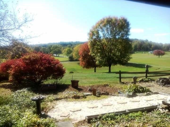 218 Welsh Road Valencia, PA 16059 - Photo 22 of 25 Gorgeous fall foliage from your own front porch