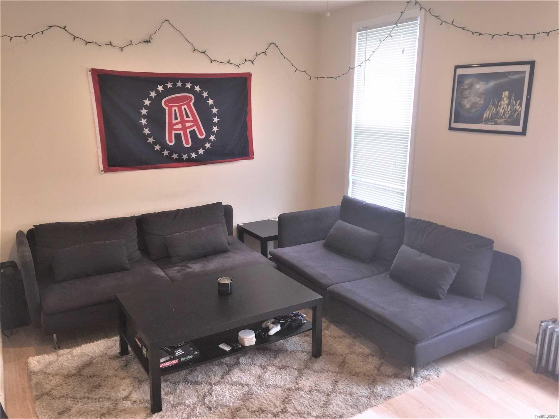52-05 35th Street, Unit 2 Queens, NY 11101 - Photo 11 of 20 a living room with furniture and a rug
