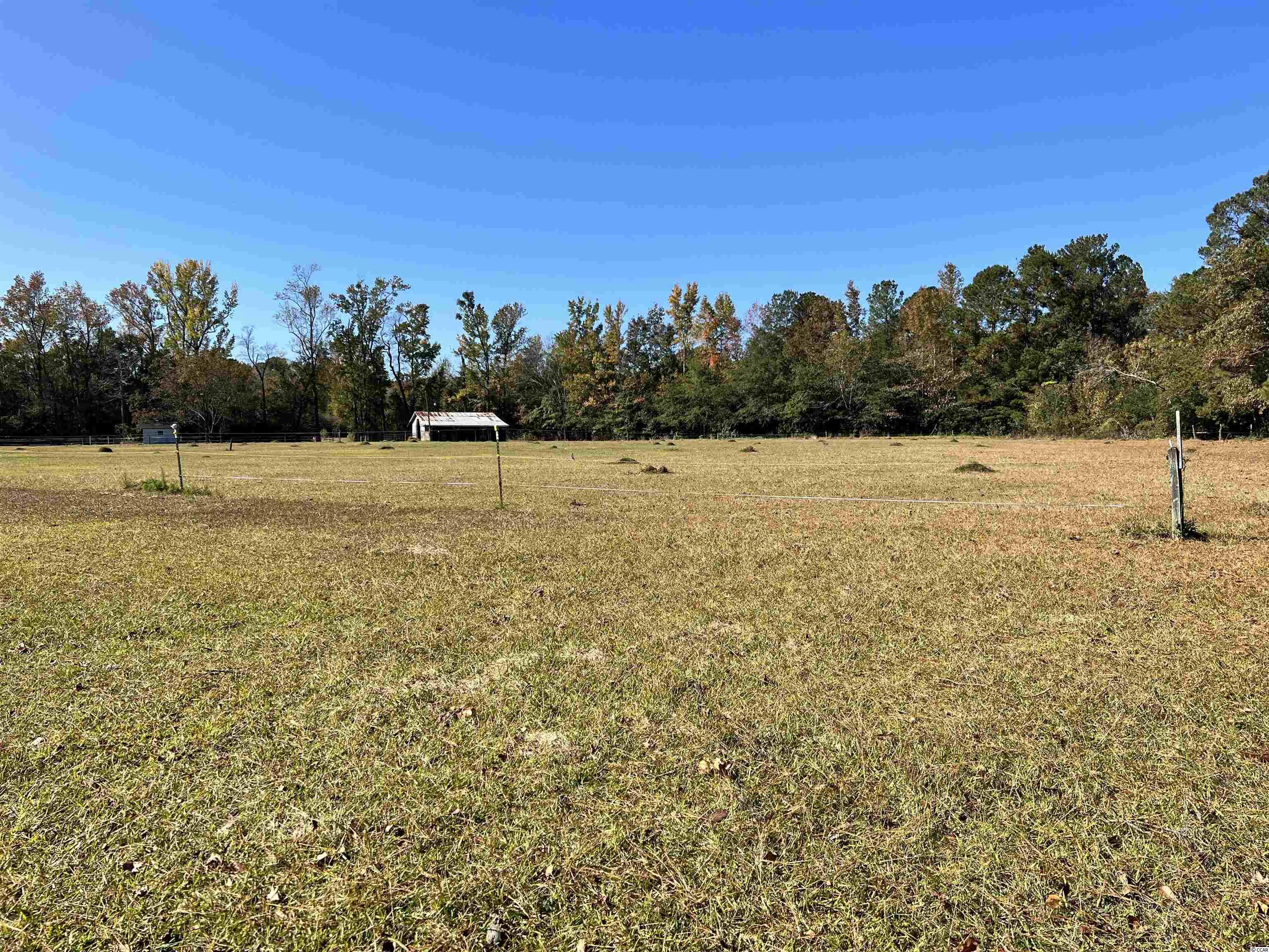 5348 Blue Ridge Road Mullins, SC 29574 - Photo 20 of 34 Gallery Image 20