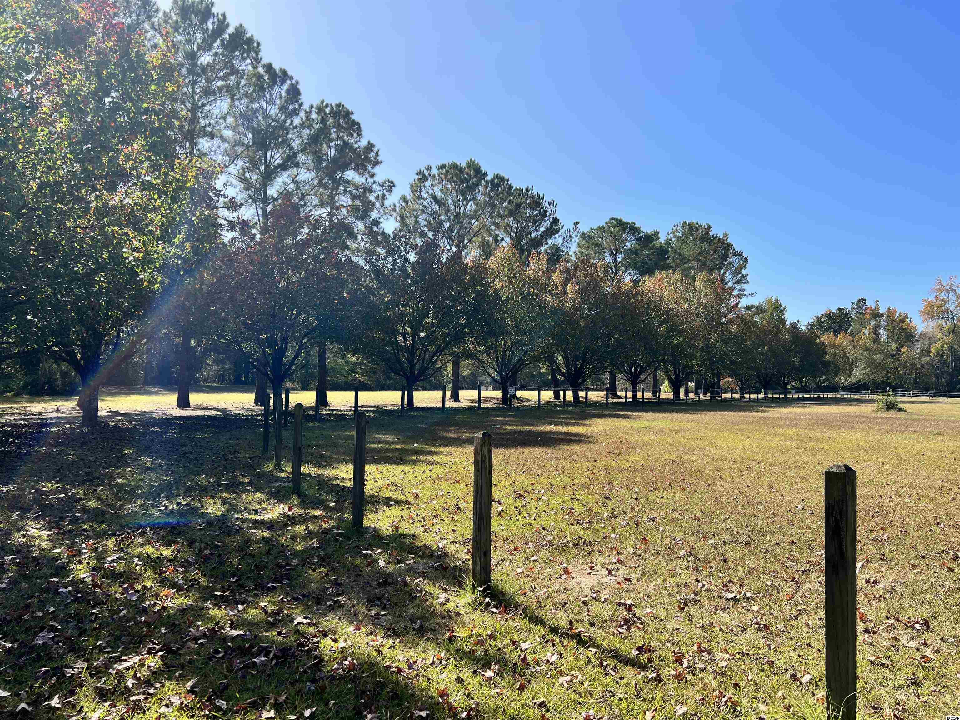 5348 Blue Ridge Road Mullins, SC 29574 - Photo 21 of 34 Gallery Image 21