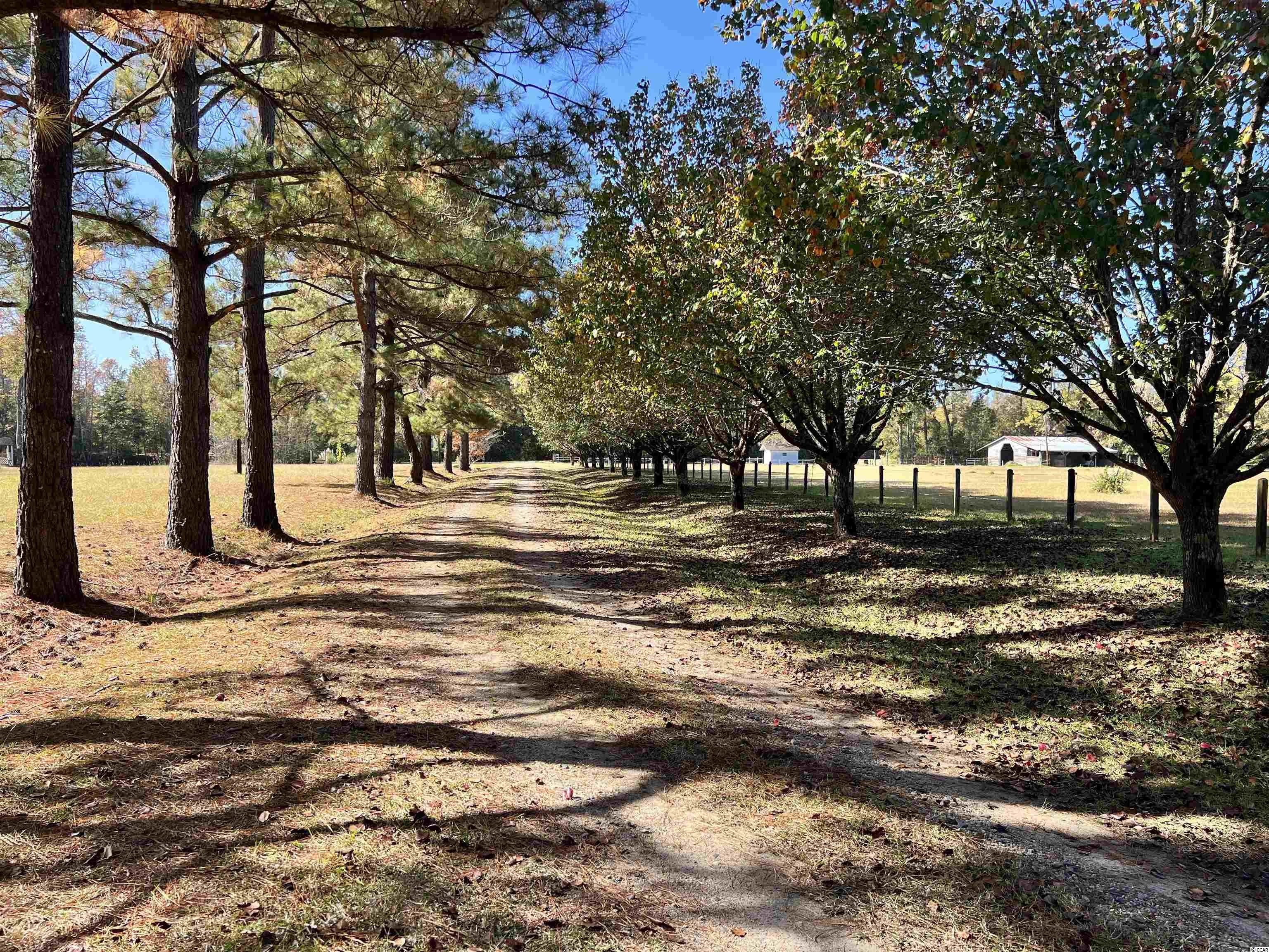 5348 Blue Ridge Road Mullins, SC 29574 - Photo 23 of 34 Gallery Image 23