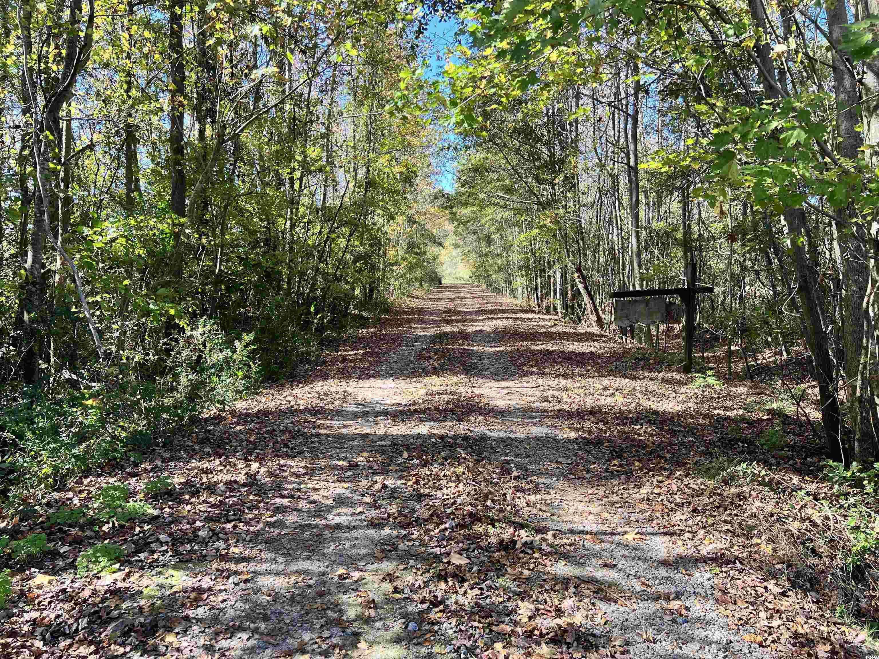 5348 Blue Ridge Road Mullins, SC 29574 - Photo 24 of 34 Gallery Image 24