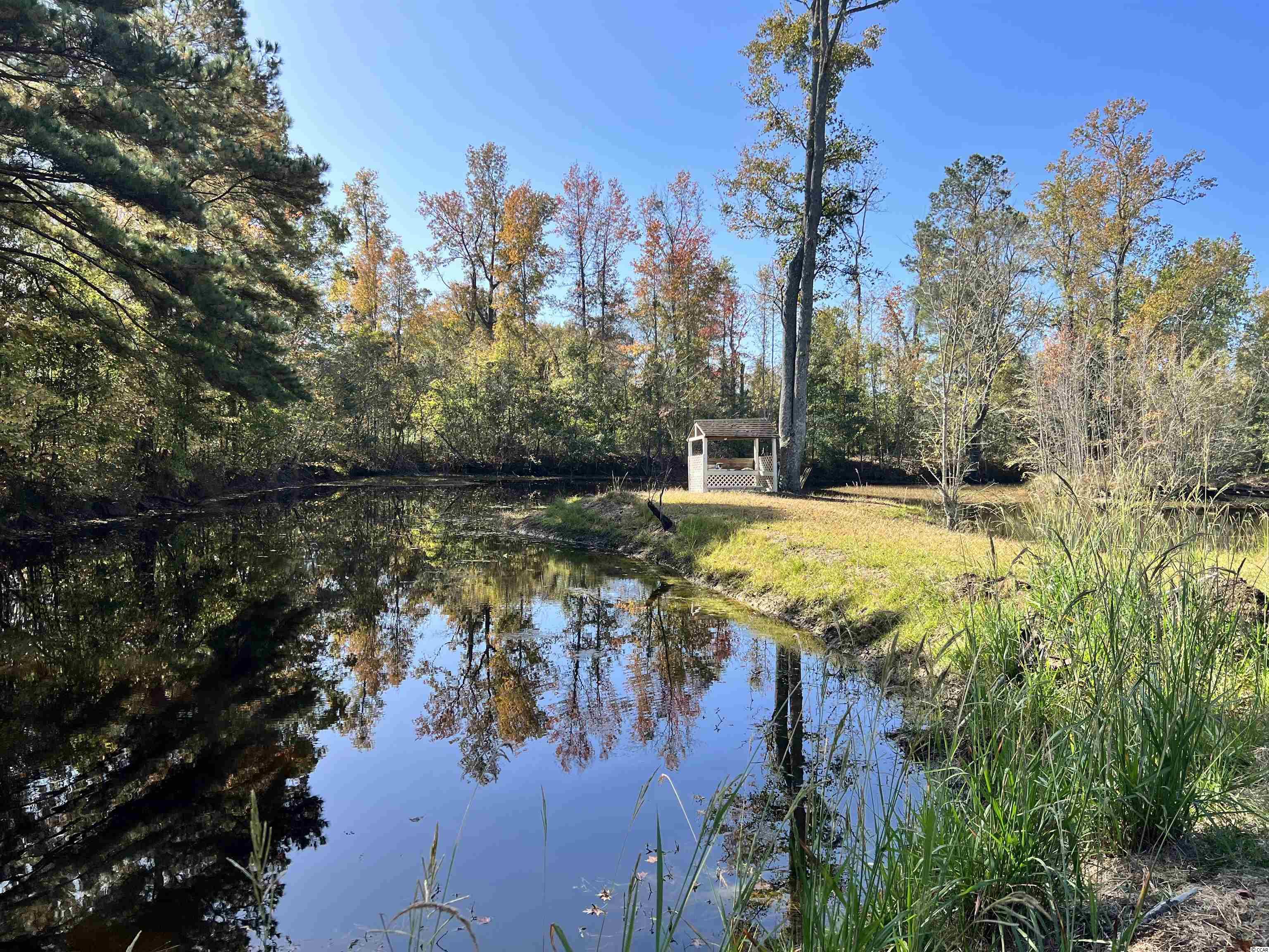 5348 Blue Ridge Road Mullins, SC 29574 - Photo 28 of 34 Gallery Image 28