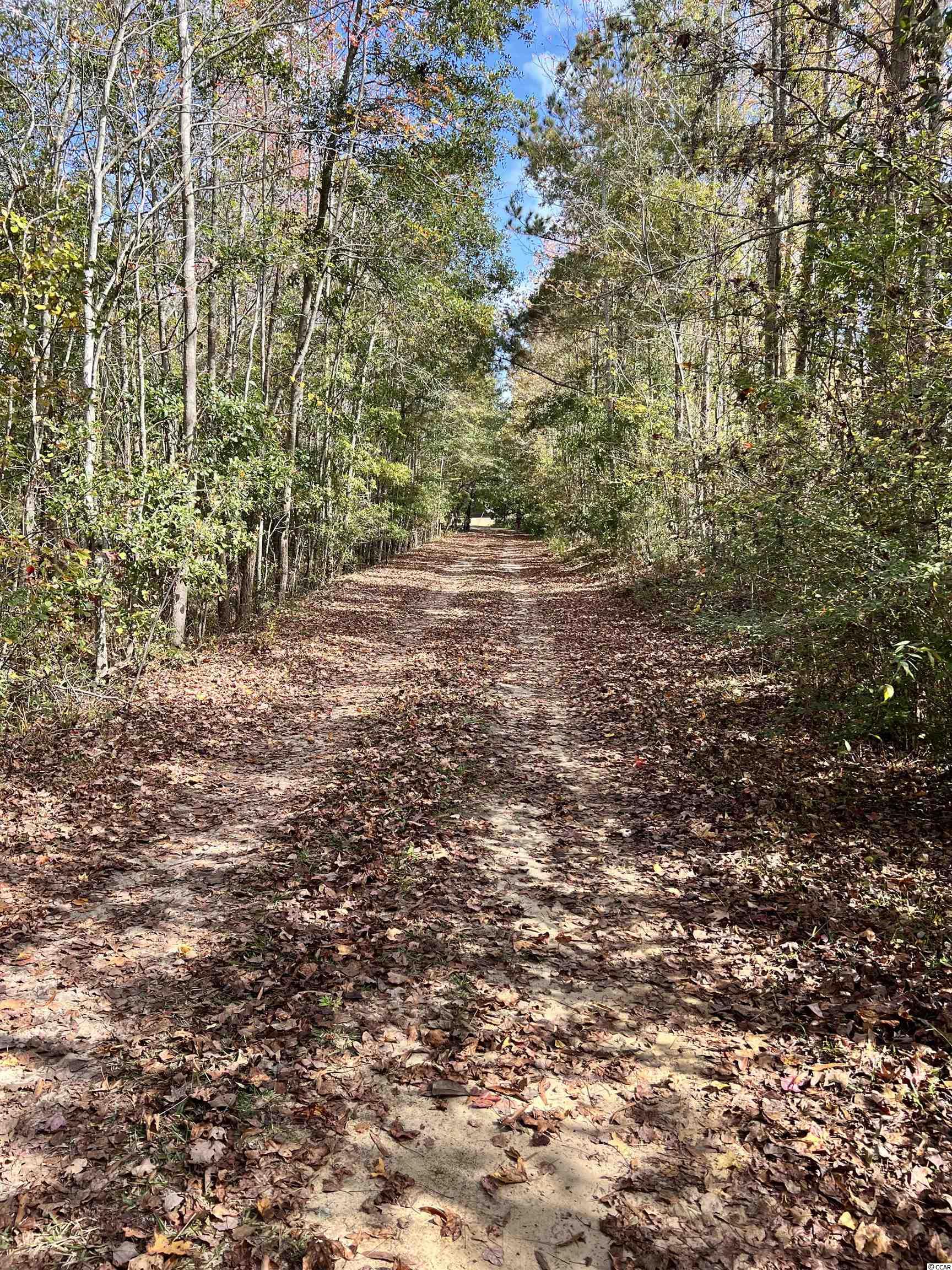 5348 Blue Ridge Road Mullins, SC 29574 - Photo 34 of 34 Gallery Image 34