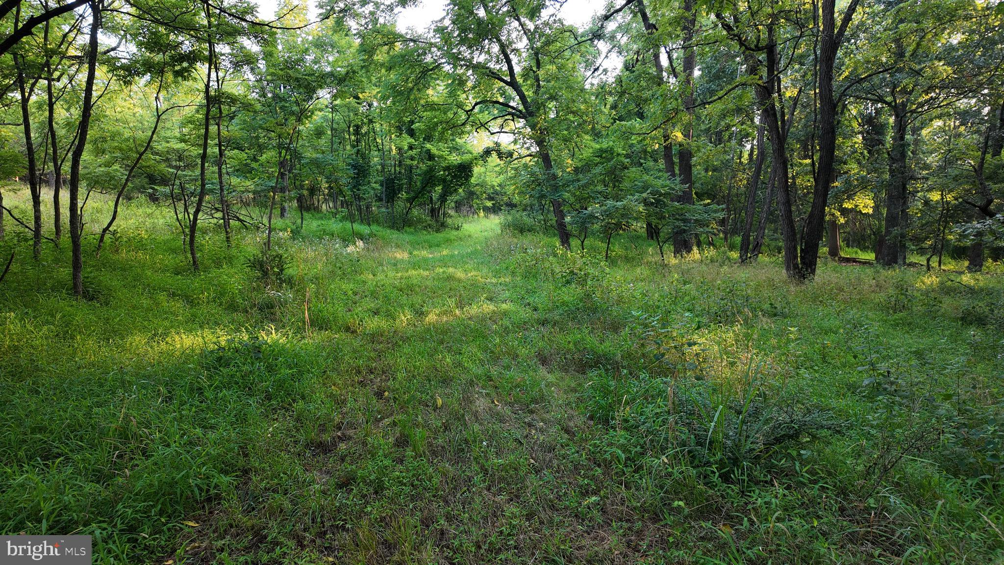 Lot 203 Graces Cabin Road Romney, WV 26757 - Photo 7 of 35 Gallery Image 7