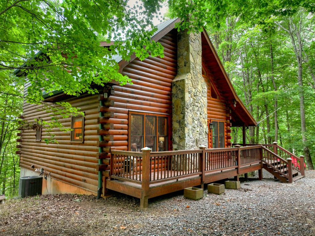 541 Little Bushy Head Road Blue Ridge, GA 30513 - Photo 7 of 45 Gallery Image 7