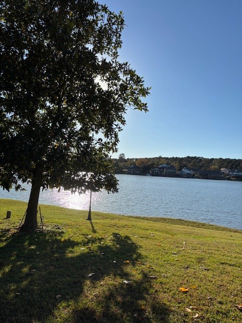 24 Lakeview Manor Huntsville, TX 77340 - Photo 3 of 26 a view of lake view