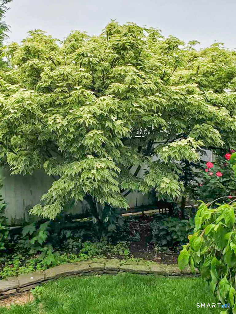 12 Old Saugatuck Road Norwalk, CT 06855 - Photo 31 of 36