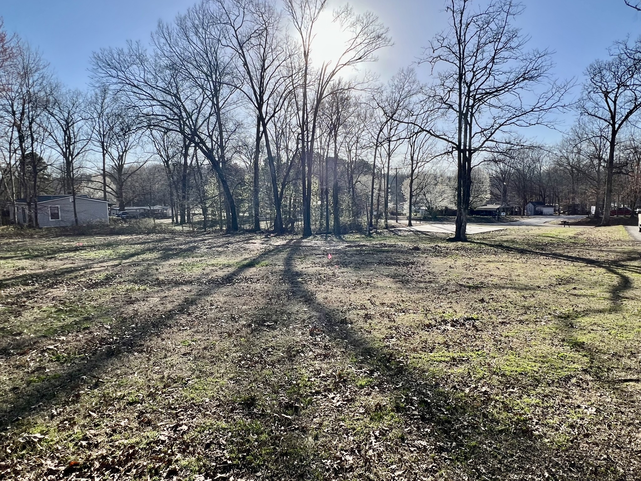 380 Buchanan Resort Road Springville, TN 38256 - Photo 1 of 13 Gallery Image 1