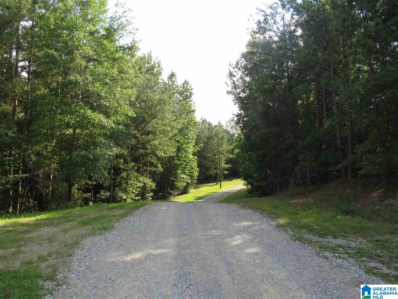 0 County Road 997, Unit 1 Clanton, AL 35045 - Photo 4 of 7