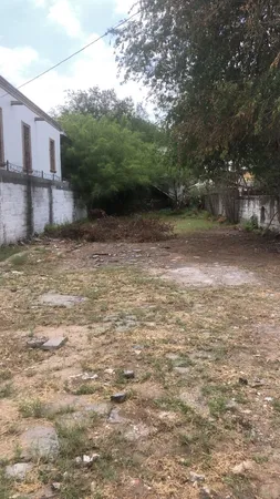 a view of a yard with a tree