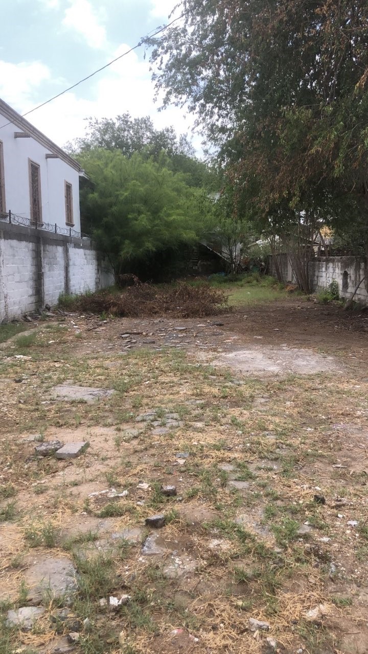 1713 Lauro Aguirre undefined, Tamps. 88070 - Photo 1 of 1 a view of a yard with a tree