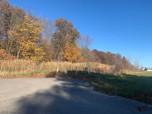 $75,000 | 0 Courtyard Drive, Lorain, OH 44053