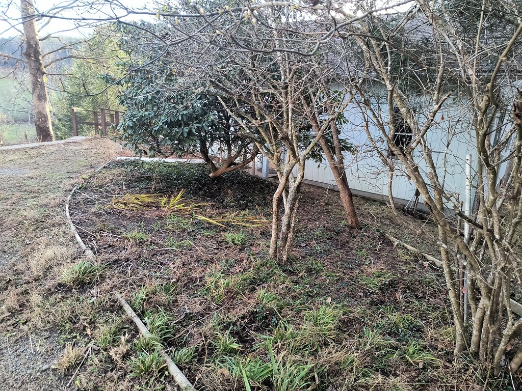 422 Evans Hollow Road Murphy, NC 28906 - Photo 26 of 34 a view of a yard with plants and trees