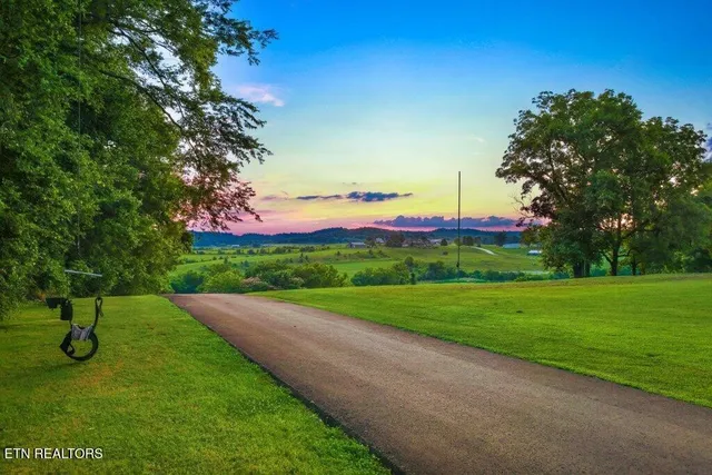 a view of a yard with a tree in the background