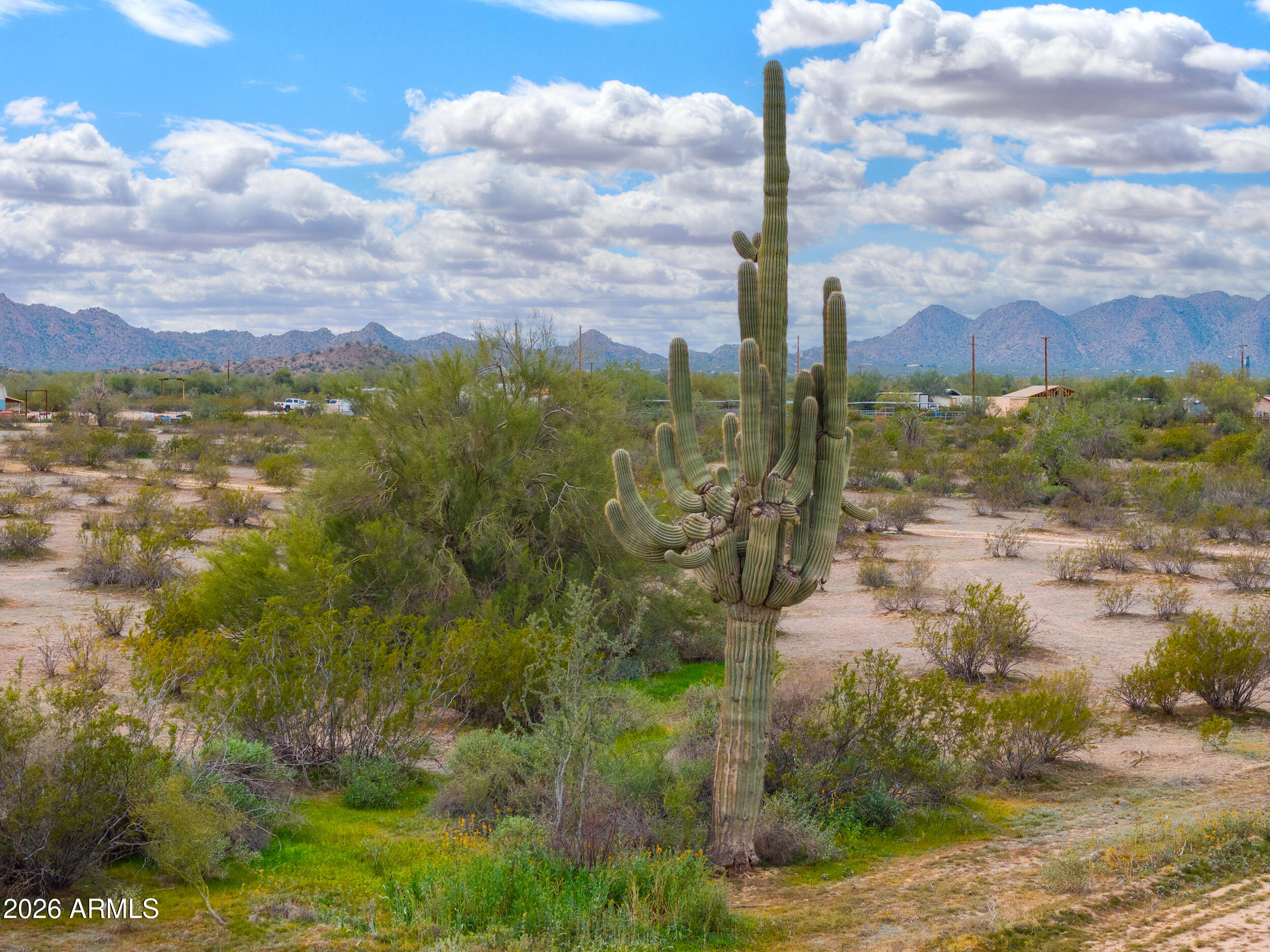 0 West Dune Shadow Road, Unit 42 Maricopa, AZ 85139 - Photo 3 of 25 a view of a city with flower in front of it