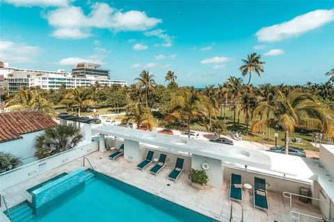 a view of a palm trees in a backyard