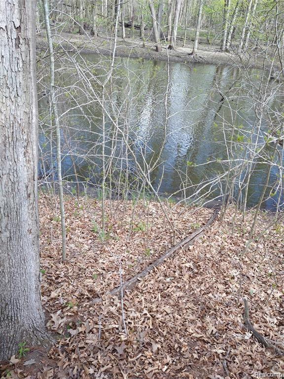 47 Bryde Drive Rives Junction, MI 49277 - Photo 6 of 8