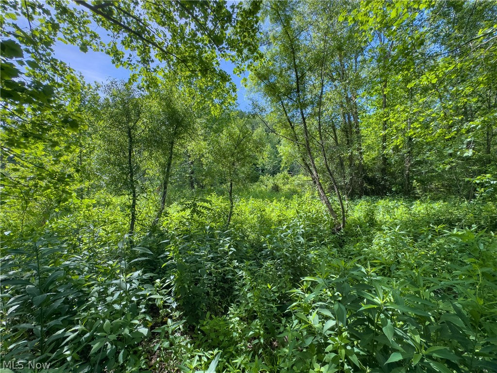 3 Jake Road Patriot, OH 45658 - Photo 5 of 15