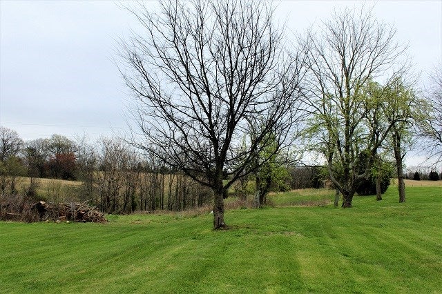 Lot 3 Lewis Road Lewisburg, KY 42256 - Photo 2 of 2 Gallery Image 2
