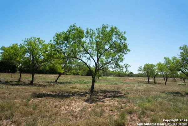 a view of outdoor space with trees