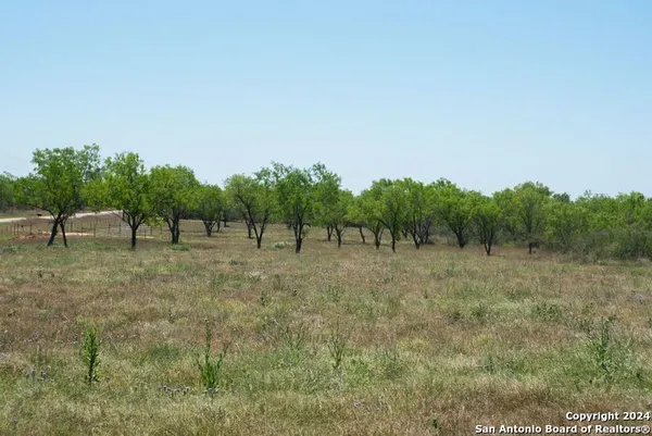 a view of some trees in a field