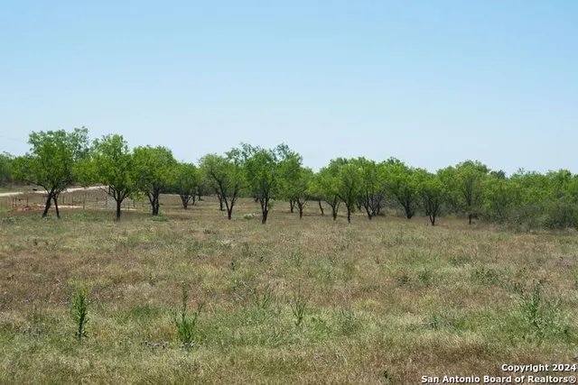 a view of some trees in a field
