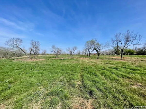 a view of field with trees in background
