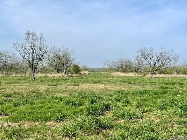 a view of outdoor space with trees all around