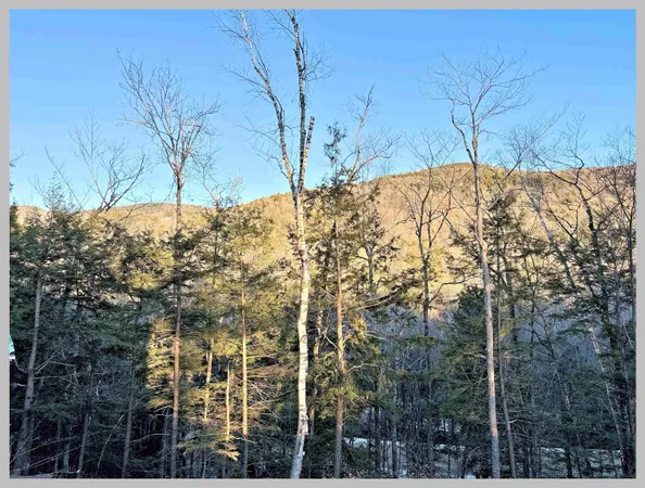 $585,000 | 51 Schuyler Drive, Campton, NH 03223