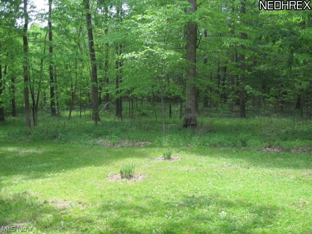 6871 Downs Road Northwest Warren, OH 44481 - Photo 5 of 25 Gallery Image 5