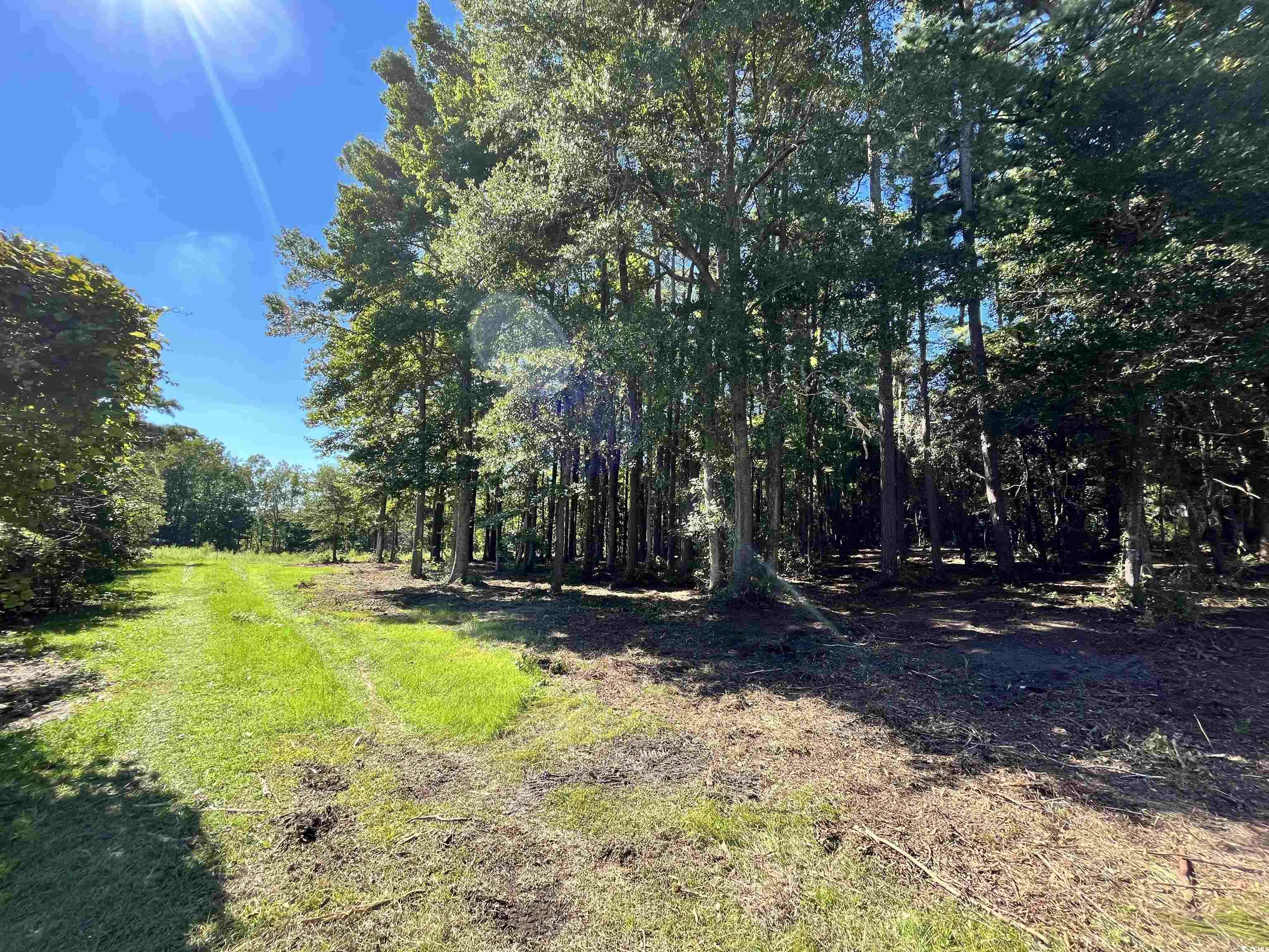 Lot 7 Luck Avenue Little River, SC 29566 - Photo 5 of 6